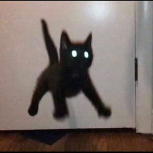 Meet your Posher, Kali